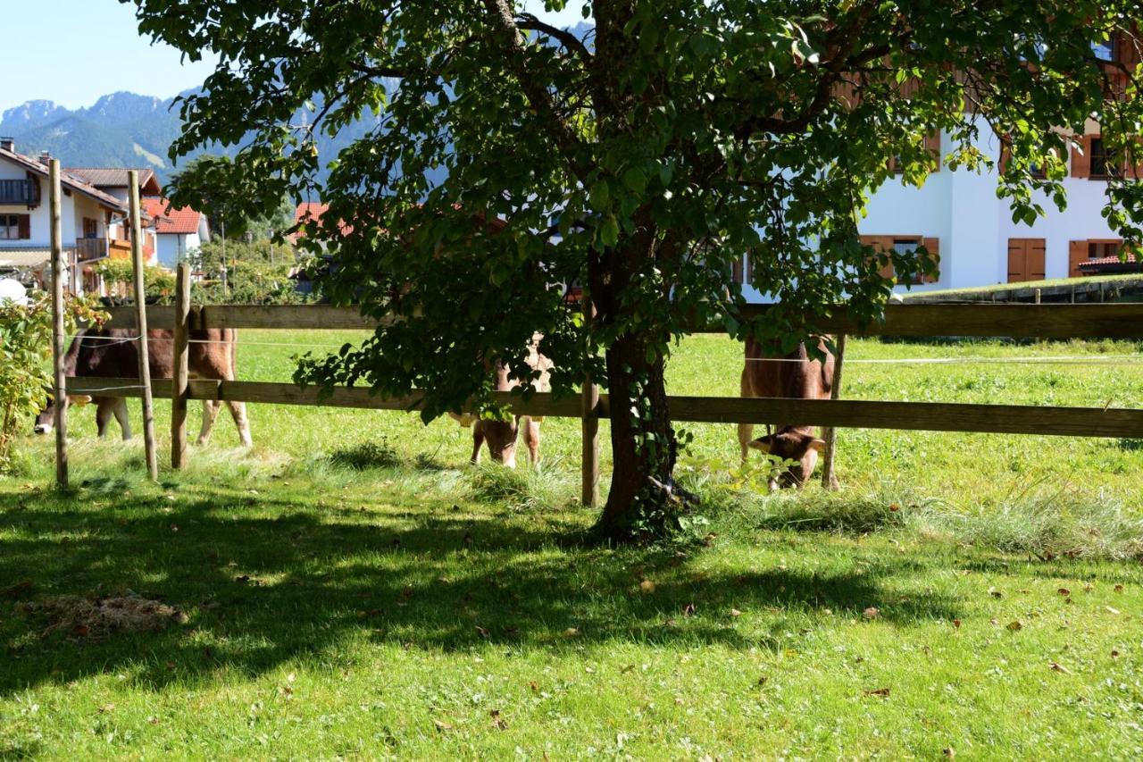 Gästehaus Wild-Schütz Schwangau Exterior foto