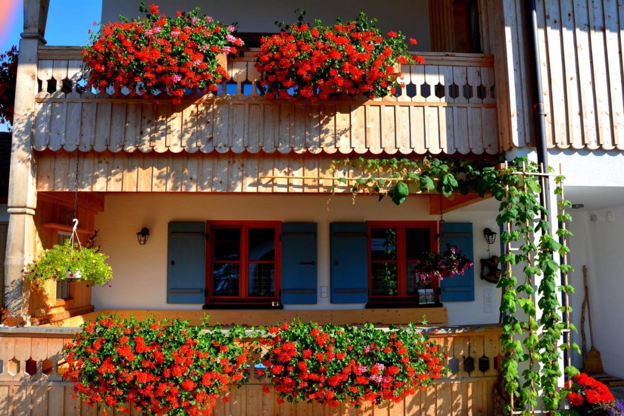 Gästehaus Wild-Schütz Schwangau Exterior foto